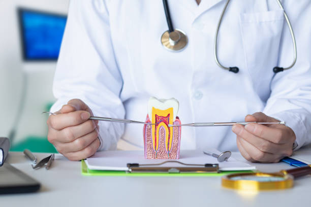 Best Emergency Treatment for Dental Infections or Abscesses in Van Vleck, TX